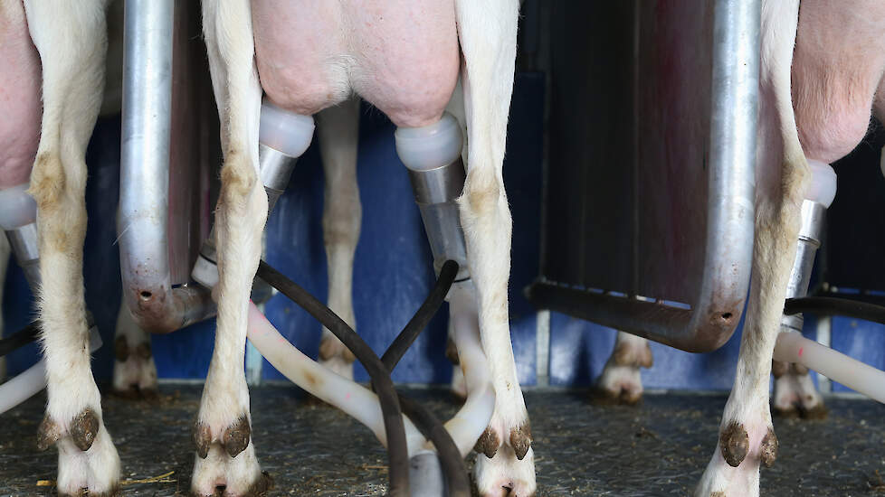 Subklinische uierontsteking is moeilijk met het blote oog vast te stellen. Een ziek uier vertoont niet altijd afwijkingen.