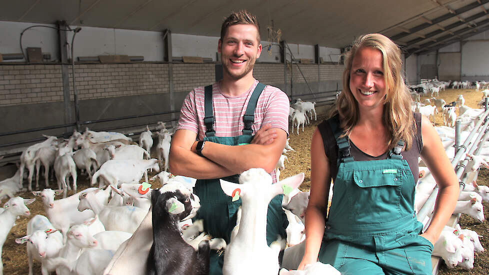 Laurens Van Haarlem en Gera Van Noord maakten begin 2022 hun droom waar door samen een 2.700 geiten tellende boerderij over te nemen in het Gelderse Winssen.