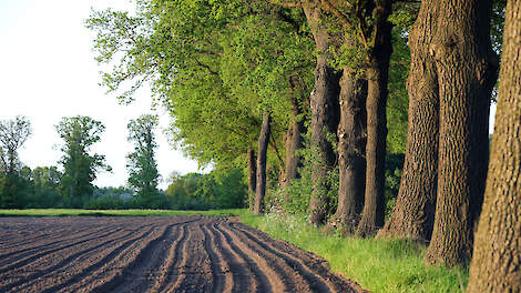 De algemene conclusie van provincie Gelderland is dat het niet goed gaat met de natuur, maar dat achteruitgang van de natuur stopt door maatregelen.