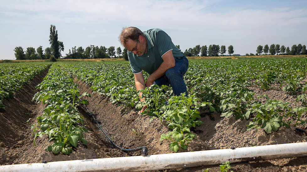 Jaap Moerland uit Sint-Annaland constateert dat de structuur van de grond matig is, als gevolg van de vele regen en de daaropvolgende droogte.