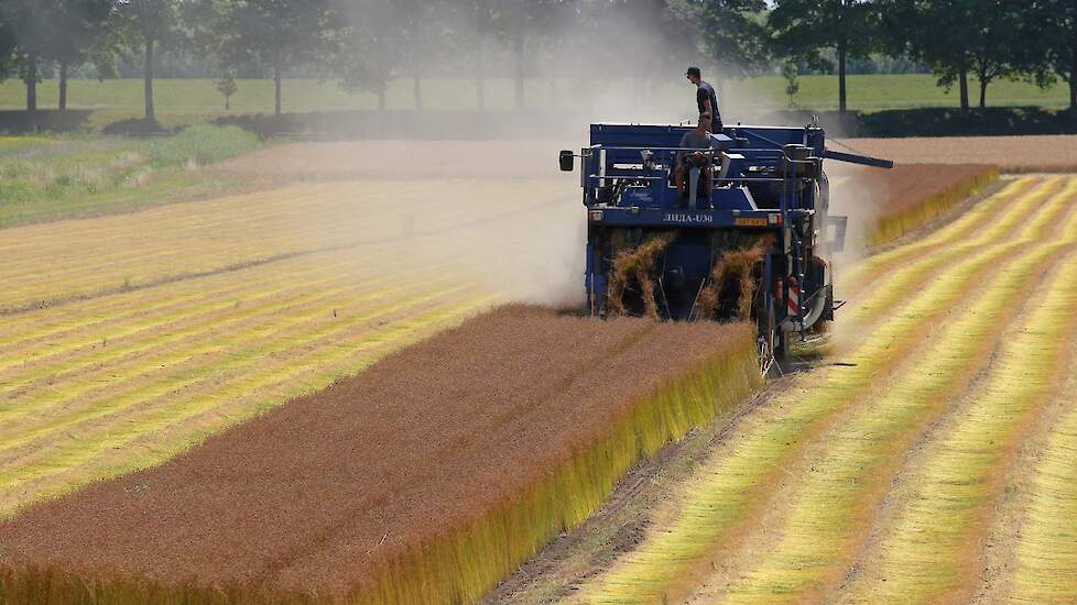 Verdubbeling Financiële Opbrengst Maakt Vlas Steeds Interessanter Gewas ...