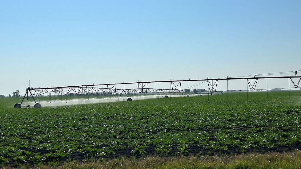 Pivot in bieten.