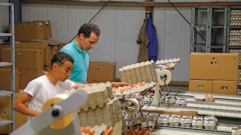 Maandag, woensdag en zaterdag sorteert René de Korte samen met  medewerkersde eieren en bezorgt deze de volgende werkdag.