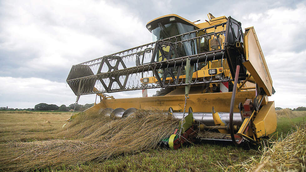 „Graszaad vraagt behoorlijk wat capaciteit: je moet in ons geval 12 hectare in één keer inzaaien en bij het oogsten ook meteen alles verwerken in balen”, aldus Dave te Woerd van WOPA.