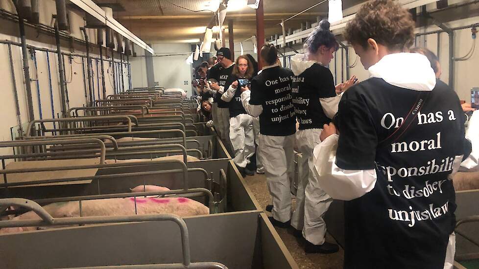 Dierenextremisten banjerden in mei 2019 door de stallen van een varkenshouder in Boxtel (NB) en lieten deuren wagenwijd openstaan.