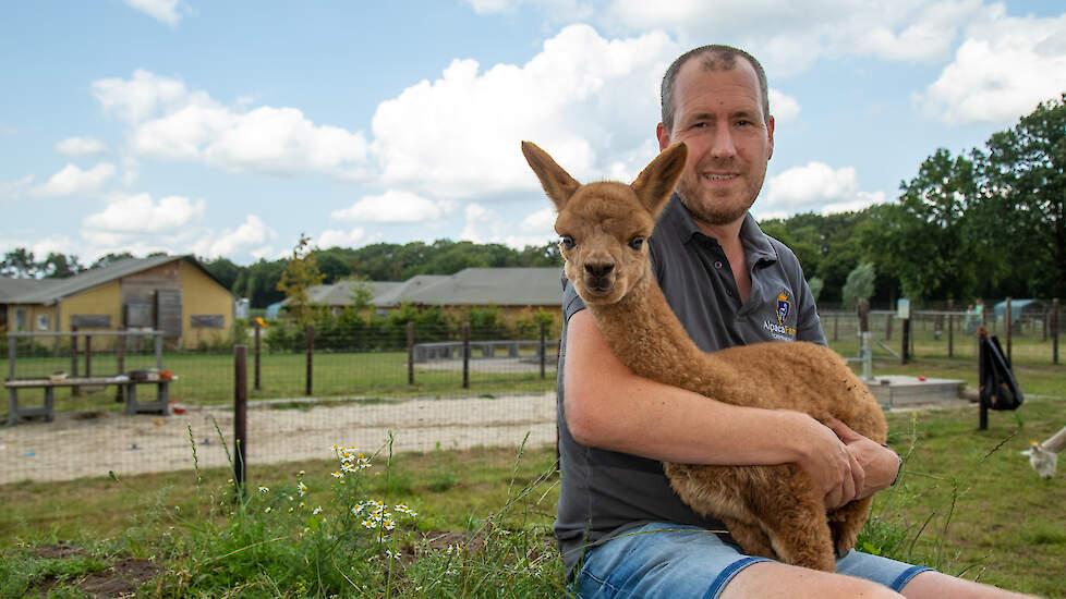 Willem-Mathijs van der Aa is samen met zijn vrouw Anne fulltime alpacaboer dankzij de combinatie met recreatie, horeca en activiteiten.