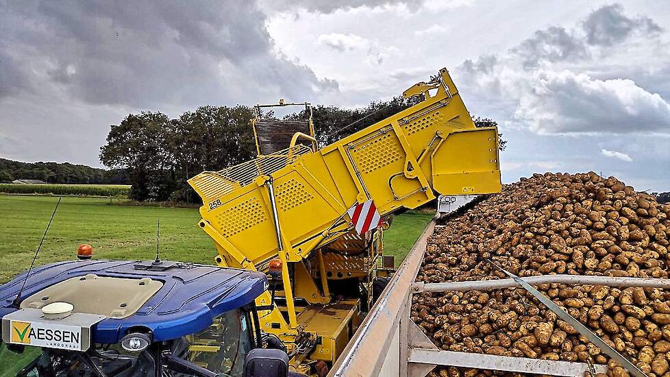 Dinsdagmiddag werden in Mariahoop Zorba aardappelen bestemd voor industriële verwerking gerooid.