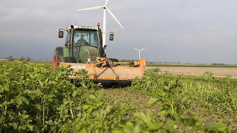 Een agrariër kan subsidie ontvangen voor machines die geschikt zijn om groenbemesters en vanggewassen te vernietigen, af te maaien, te verhakselen, kapot te frezen en/of in te werken.