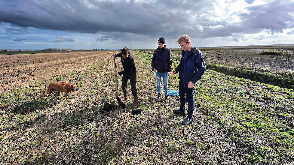 Een deel van de groep beoordeelt het bodemleven voor en na de proef.