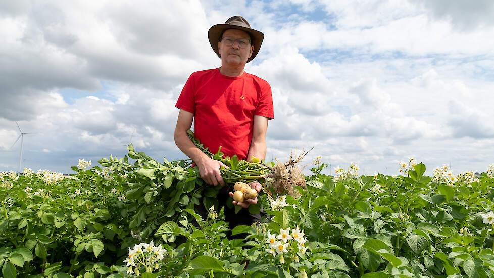 Akkerbouwer Erik Postma verwacht dat de opbrengst dit jaar lager ligt dan vorig jaar. Hij rekent op 50 ton aardappelen per hectare.