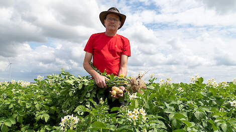 Akkerbouwer Erik Postma verwacht dat de opbrengst dit jaar lager ligt dan vorig jaar. Hij rekent op 50 ton aardappelen per hectare.