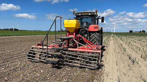 Harry Schreuder ziet 2,5 hectare uien verloren gaan.