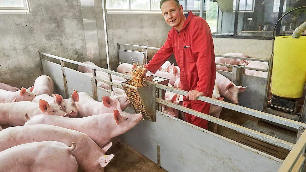 Stepan Rientjes van zichtstal De Pleegste in Raalte.