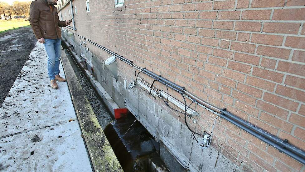 De mest en urine spoelen samen met een laag water regelmatig uit de mestkelder. Het geheel wordt dan verder bewerkt.