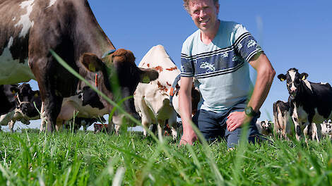 Melkveehouder Joeri Ham kiest voor modern omweiden en kijkt naar het gedrag van de koeien om te bepalen wanneer ze naar een ander perceel gaan.