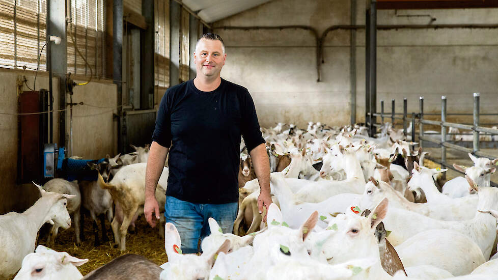 Geitenhouder Gert-Jan Frijters is al jaren bezig met een vernevelingssysteem om ammoniak te reduceren.