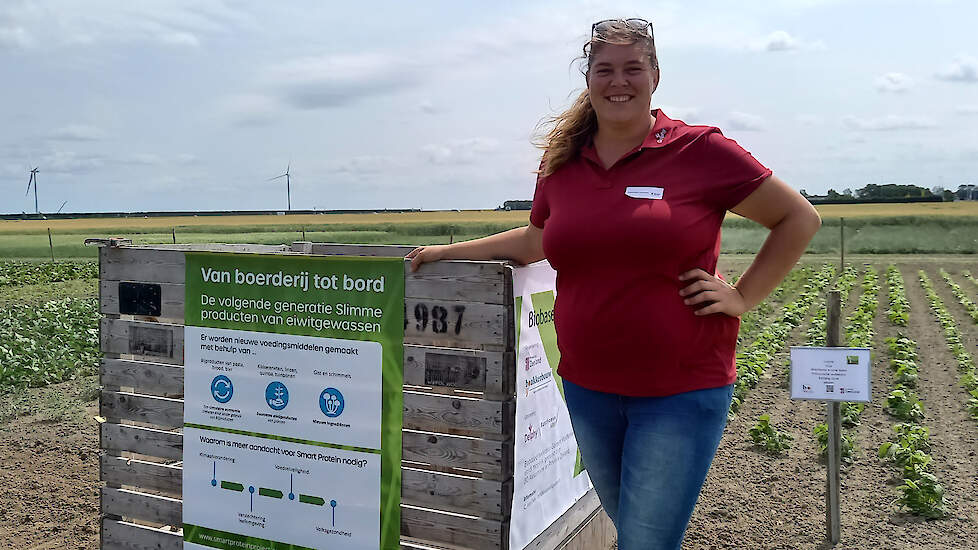 Dominique Cammaert, onderzoeker bij Delphy: „Gangbare telers reageren te snel dat resistente rassen alleen voor biologische telers zijn. Dat is onterecht.”