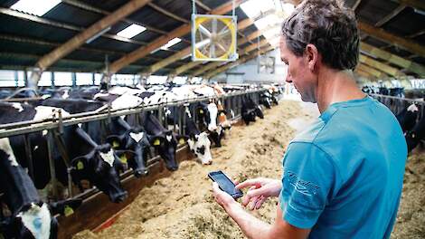 Op zijn telefoon kan Corné van Oosterhout de concentratie van ammoniak en CO2 in de stal aflezen. Op basis hiervan wordt de uitstoot van ammoniak per dierplaats per jaar berekend.