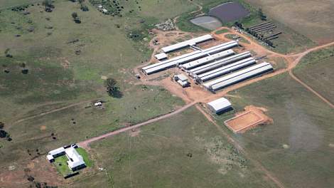 Het gesloten bedrijf Selko Piggery in Narrandera met 500 zeugen.