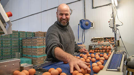 David Janssen raapt dagelijks met veel plezier de 3 sterren Beter Leven-eieren.
