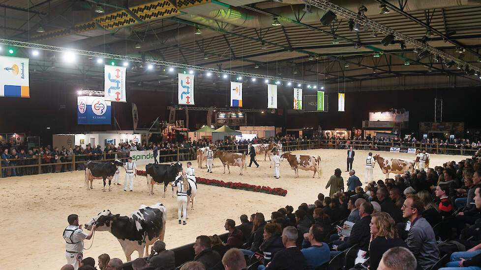 Een overzichtsfoto van de HHH-show in 2019. Dit jaar treden ruim 450 koeien van melkveehouders uit heel Nederland voor het voetlicht.