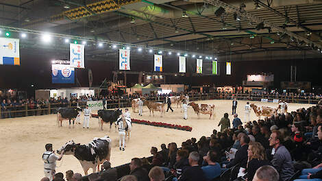 Een overzichtsfoto van de HHH-show in 2019. Dit jaar treden ruim 450 koeien van melkveehouders uit heel Nederland voor het voetlicht.