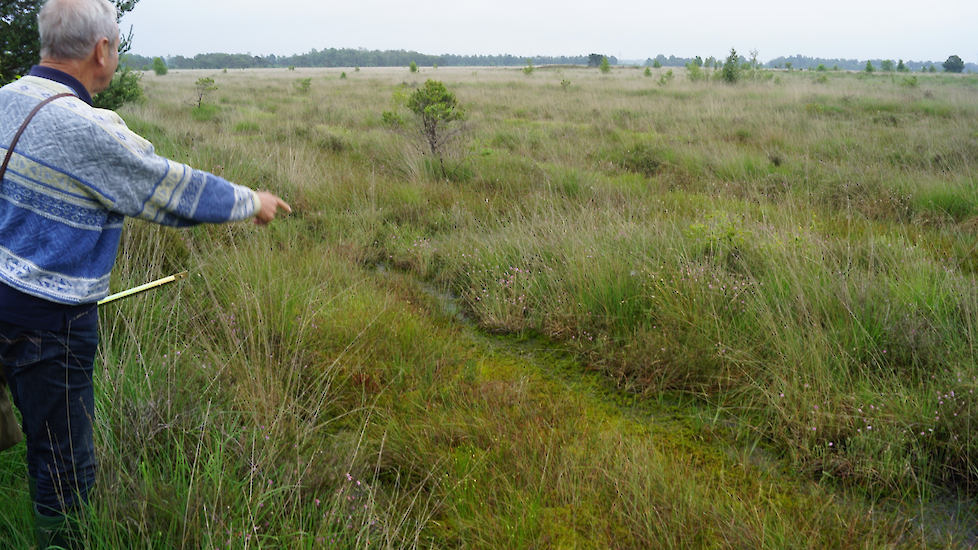 Wierdense Veld