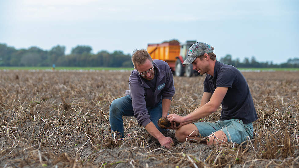 Johan van der Wekken (links) en Tonco Padmos doen samen de dagelijkse coördinatie bij Schouwen Agro.