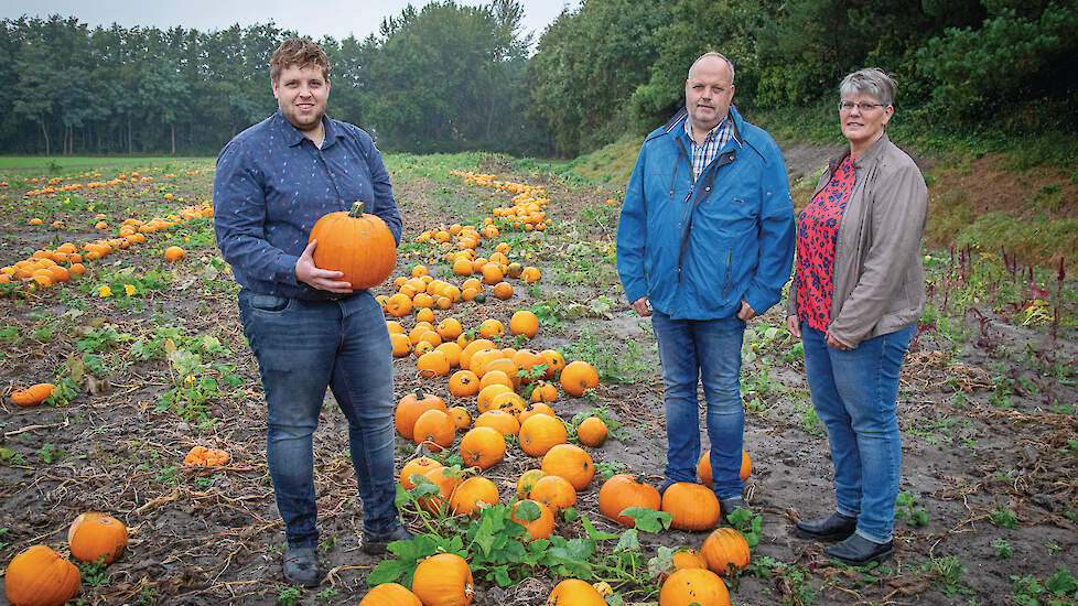 Jan en Nellie de Jong met hun zoon Sjoerd (links). Jaarlijks telen ze circa 15 hectare pompoenen, die ze handmatig oogsten.