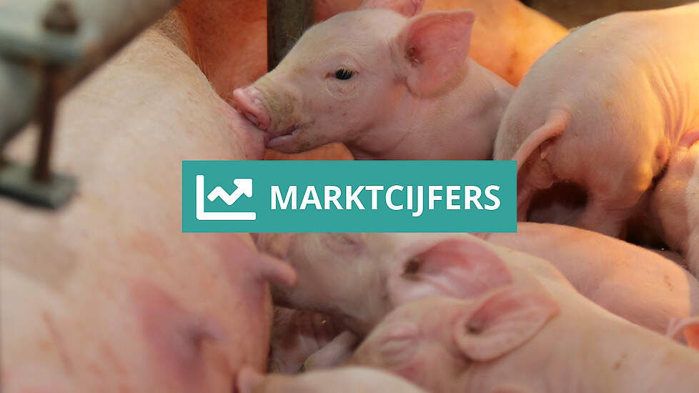 Marktcijfers varkens