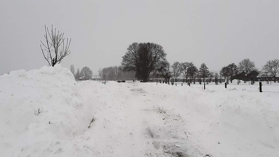 Een strenge winter is nooit uit te sluiten