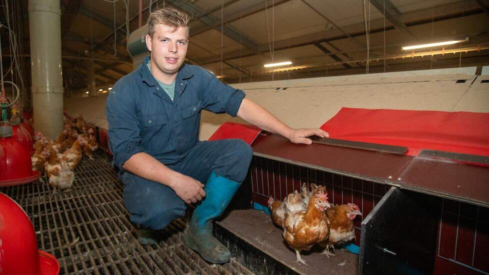 „Nu hebben we hooguit 40 grondeieren per dag in iedere stal en geen honderden meer zoals vroeger toen we de oude legnesten nog hadden”, zegt Koen van Eerd.