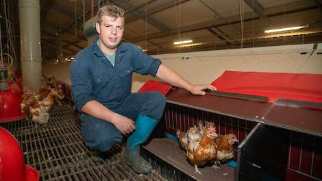 „Nu hebben we hooguit 40 grondeieren per dag in iedere stal en geen honderden meer zoals vroeger toen we de oude legnesten nog hadden”, zegt Koen van Eerd.