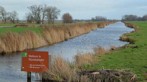 Natuur in Noord-Holland. Foto ter illustratie.