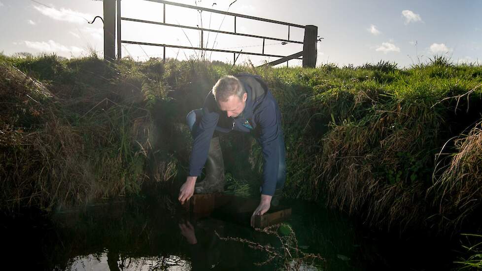 Wat is het effect van de stuw in de sloot van Geert Stevens?