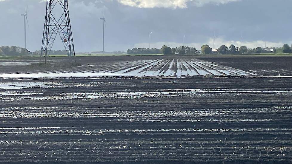 Op veel plaatsen, zoals in Flevoland, is het kletsnat.