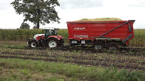 Dewa aangedreven wagens in de modderige ma&iuml;s