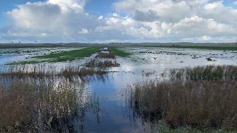 Waterberging Vliegveld Bergen in werking om het water op te vangen.
