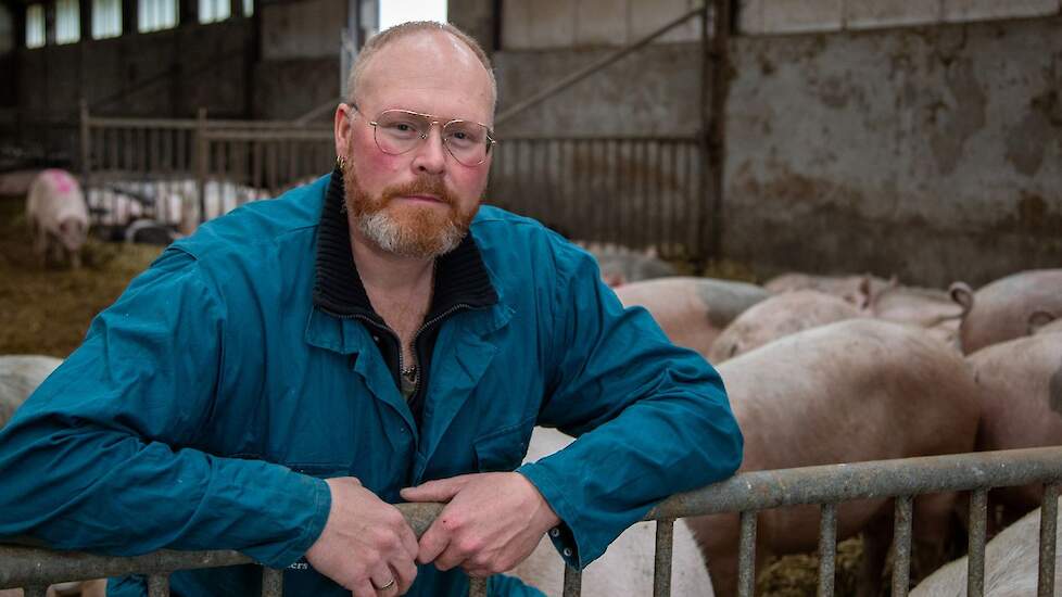 De varkens zijn ongeveer 60 procent van de tijd in de stal en 40 procent van de tijd buiten. Wennekers had dat liever andersom gezien.