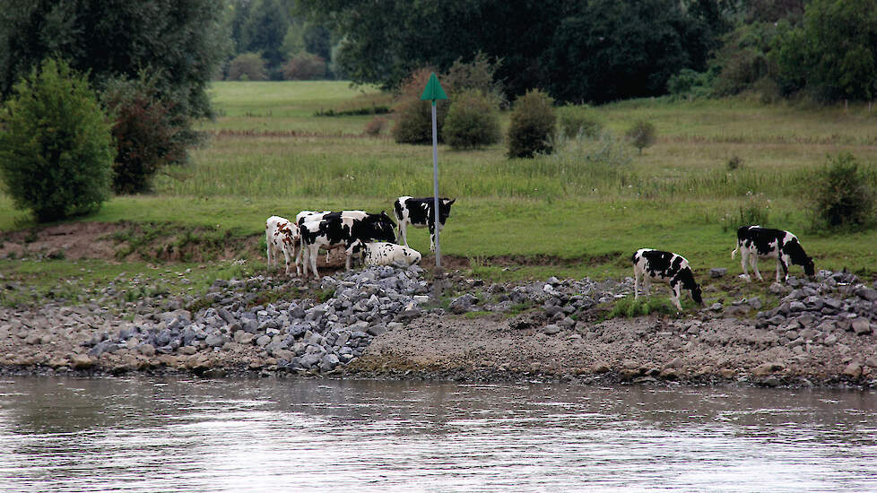 Voor natuurgebieden buiten Natura 2000 worden natuurherstelmaatregelen toch niet verplicht.