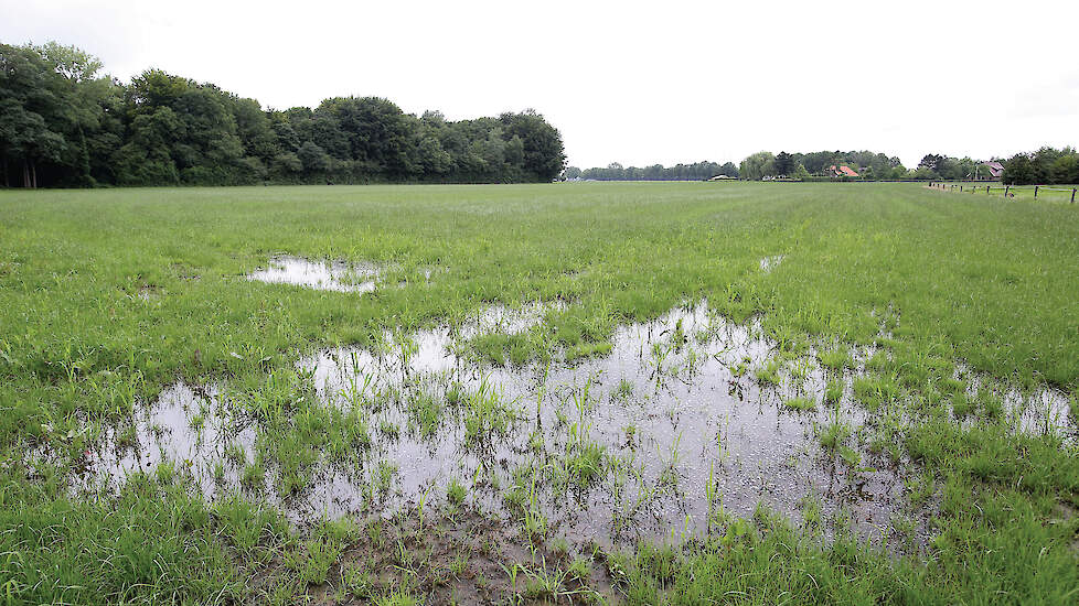 Plasvorming veroorzaakt binnen enkele dagen schade doordat het bodemleven afsterft. Op plekken waar water staat, kan geen zuurstof doordringen.