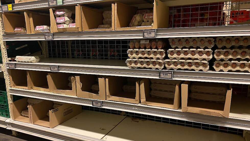 Lege eierschappen in supermarkten zijn de komende weken niet uit te sluiten als de vogelgriep hevig om zich heen slaat in Europa.