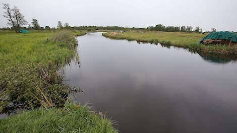 De Wierden.