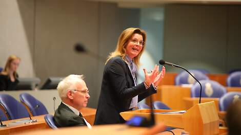 Minister Christianne van der Wal.