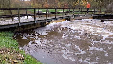 Deze stuw in de Bielheimerbeek bij Doetinchem (Gld.) houdt regen-en smeltwater uit Duitsland tegen.