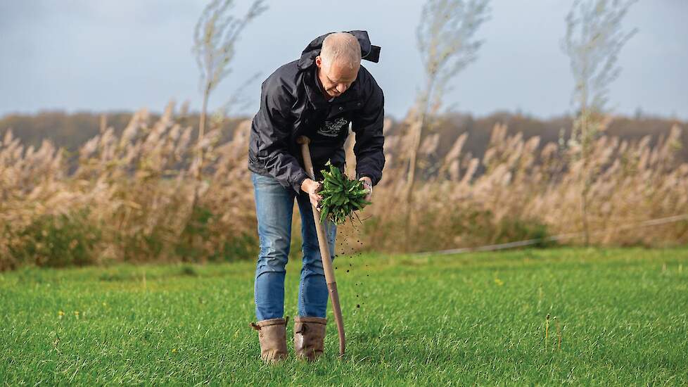 Melkveehouder Frank Post doet mee een proef van Arla Foods over regeneratieve landbouw.