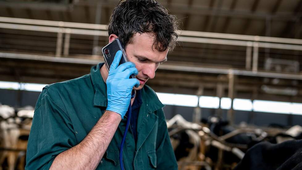 Dierenarts Stijn Nieuwenhuis moest vijftien schapen laten euthanaseren.