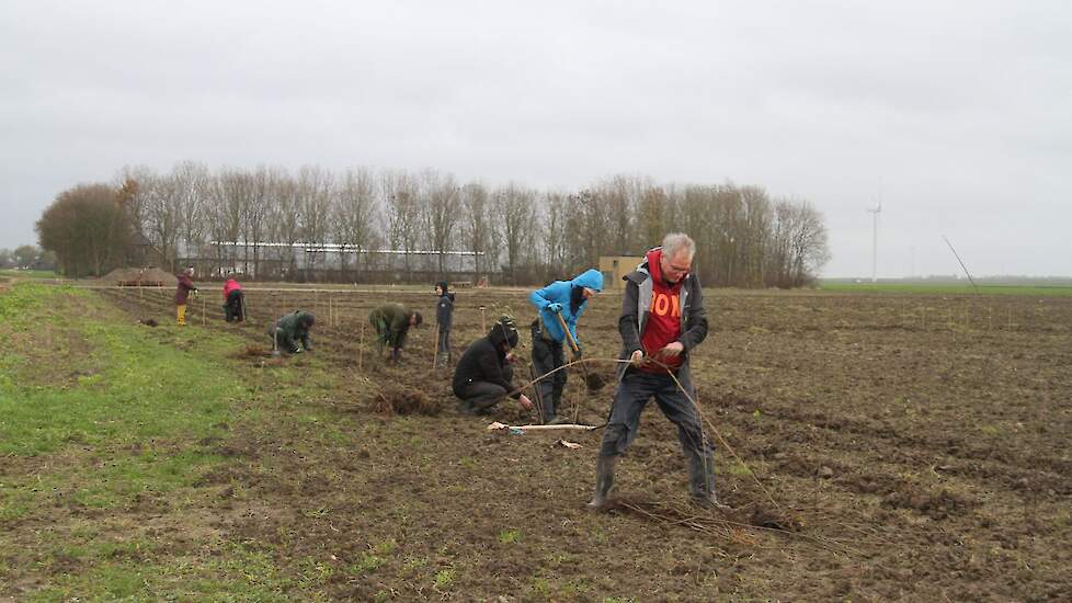 Aanplant voedselbos met vrijwilligers