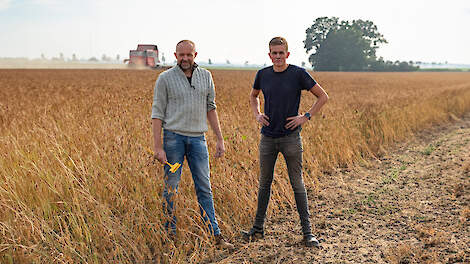 Evert Jan Daling en zijn zoon Bas konden dit jaar op 10 oktober soja oogsten.