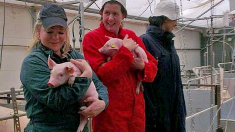 Overijssels gedeputeerde Hester Maij (groene overall) nodigde PvdA-kamerleden Sjoera Dikkers (rode overall) en Tjeerd van Dekken uit voor een werkbezoek aan een grootschalig varkens- en melkveebedrijf.